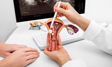 Política de Enfrentamento à Endometriose é aprovada na Câmara de Contagem