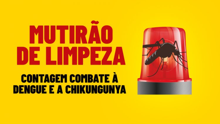 Mais de 6 mil imóveis receberão mutirão de limpeza de combate à dengue e chikungunya nesta quarta (19/4)