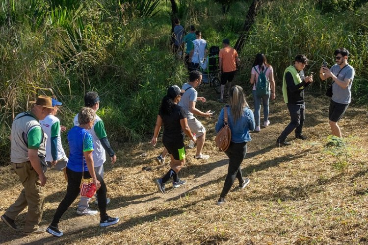 Trilhas ecológicas no parque Fernão Dias em  Contagem são abertas para caminhadas e mountain bike