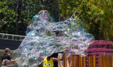 Confira a programação da semana do Parque do Palácio, em Belo Horizonte