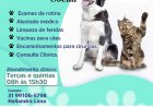 Clínica veterinária social no bairro Novo Riacho em Contagem